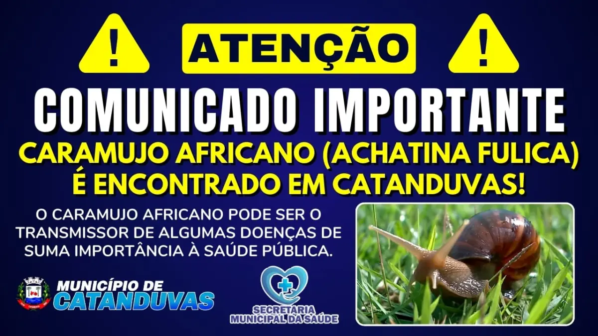 ATENÇÃO: Caramujo africano (Achatina fulica) é encontrado em Catanduvas ATENÇÃO: Caramujo africano (Achatina fulica) é encontrado em Catanduvas