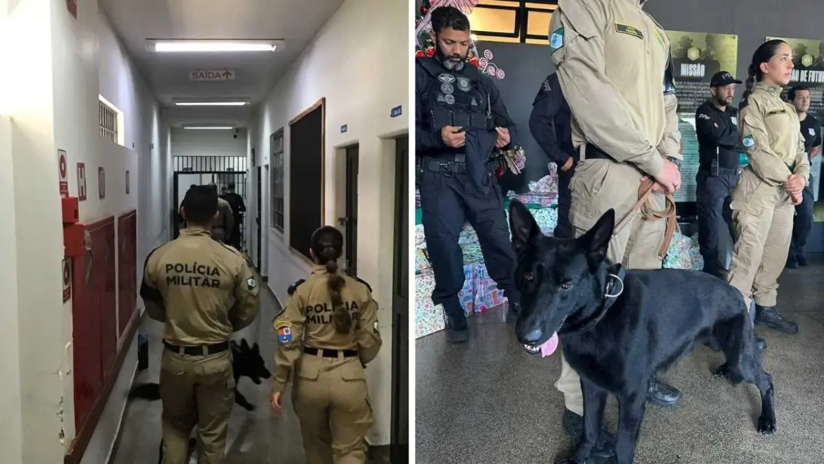 Operação conjunta mobiliza cães de faro na Penitenciária Federal em Catanduvas
