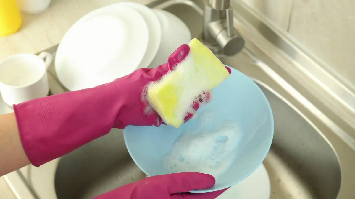 Com que frequência você deve mudar sua esponja de cozinha? Cientista revela