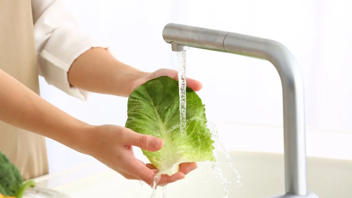 Dicas práticas para conservar salada por até 15 dias na geladeira