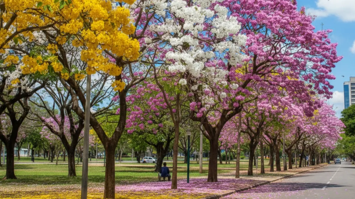 Ipê: Como cultivar a árvore conhecida por suas flores vibrantes Ipê: Como cultivar a árvore conhecida por suas flores vibrantes