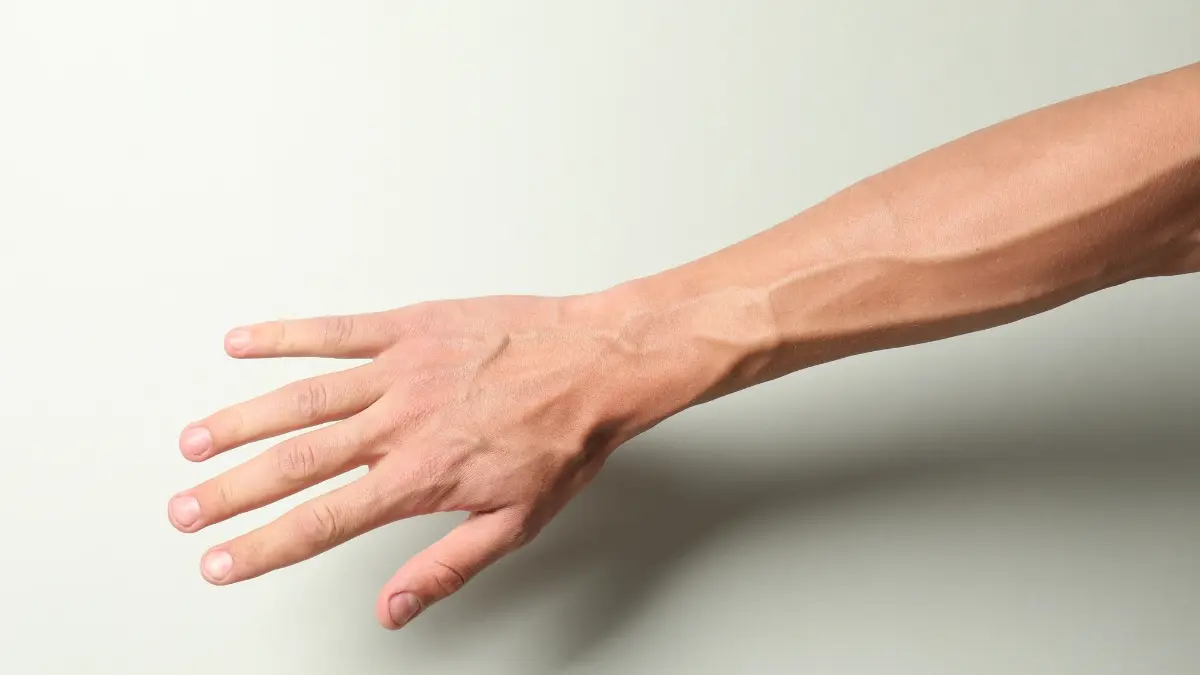 Sinais silenciosos do corpo revelam funcionamento perfeito do organismo Sinais silenciosos do corpo revelam funcionamento perfeito do organismo