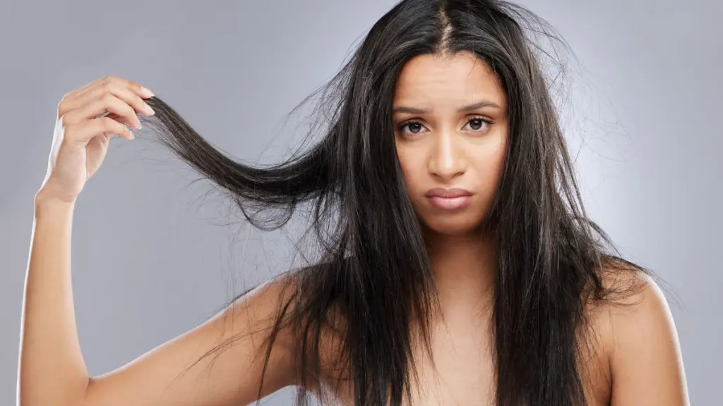 Especialistas explicam como manter o cabelo alinhado em dias de chuva e vento cabelo com muito frizz 1402226