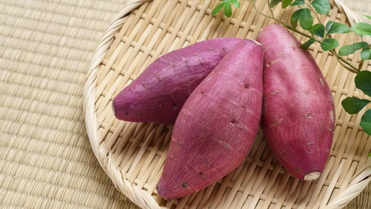 Batata doce roxa protege o coração e ajuda no controle da pressão arterial Batata doce roxa protege o coração e ajuda no controle da pressão arterial
