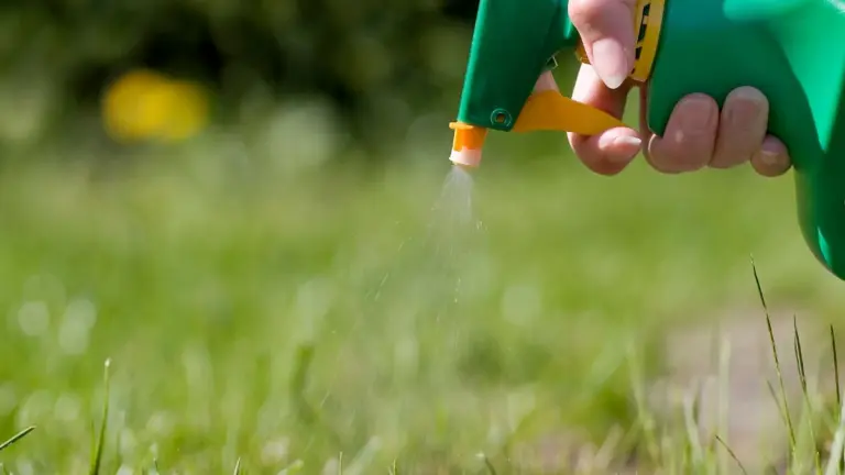 Vinagre e água fervente eliminam ervas daninhas de forma rápida e orgânica