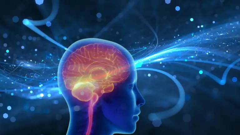 Cérebro humano pode estar conectado ao campo eletromagnético da Terra