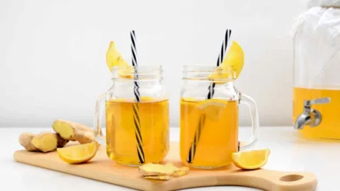 Nutricionista tomou kombucha todos os dias por 10 semanas e o que mudou não foi só o intestino