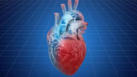 Terapia com células-tronco melhora função cardíaca em 90% dos pacientes com insuficiência grave em estudo na China