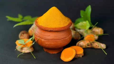 Composto da cúrcuma protege vasos sanguíneos de ratos com diabetes tipo 1 e chama atenção de pesquisadores