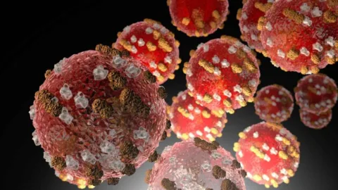 Surto de sarampo já soma 2.595 casos e quatro mortes em Moçambique, com mais de 1,8 mil novas infecções desde março