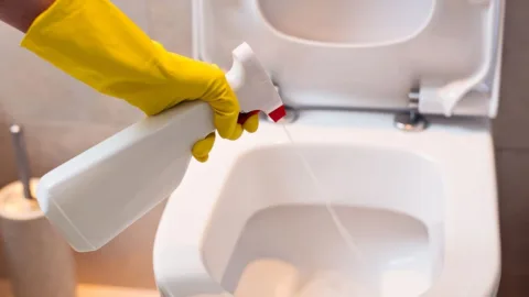Truque com vinagre no vaso sanitário surpreende com resultado impecável